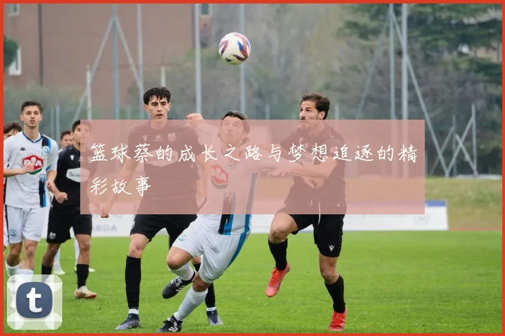 篮球蔡的成长之路与梦想追逐的精彩故事