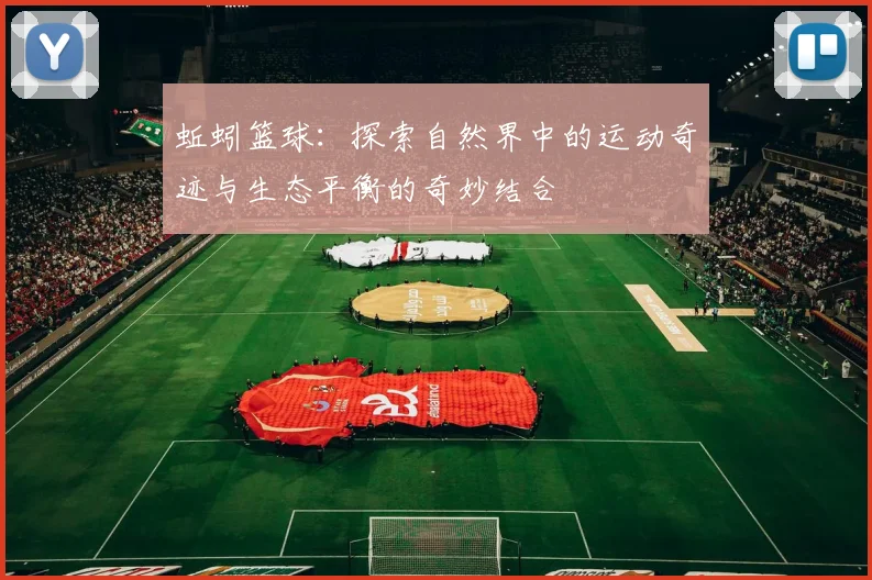 蚯蚓篮球：探索自然界中的运动奇迹与生态平衡的奇妙结合