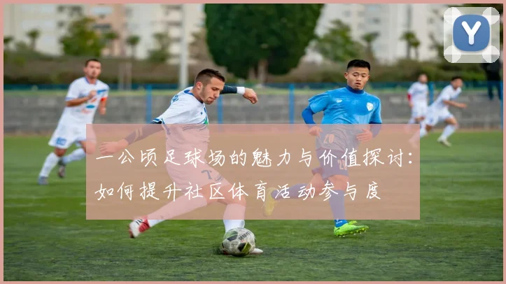 一公顷足球场的魅力与价值探讨：如何提升社区体育活动参与度